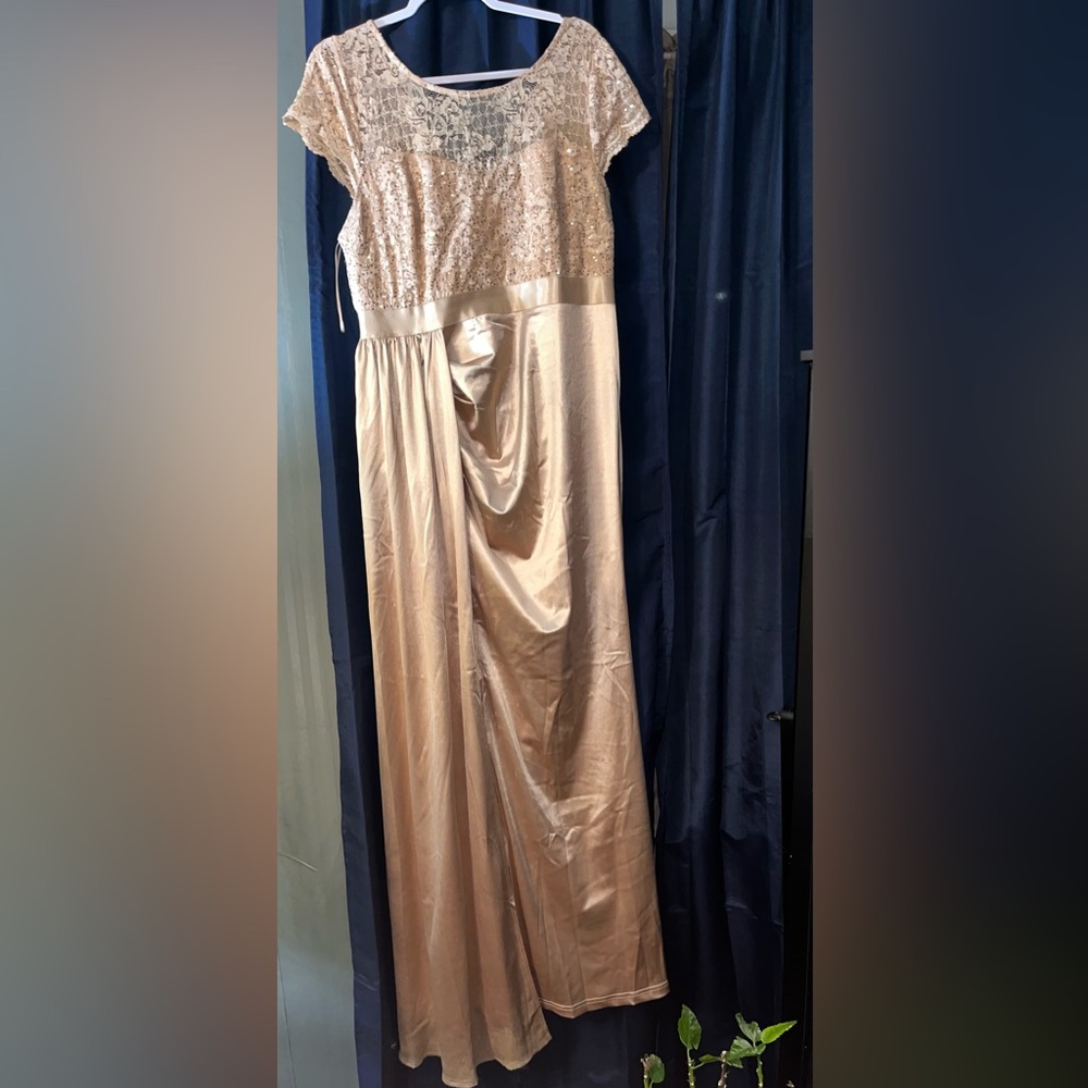Elegant Rose Gold/ Gold Lace Dress.